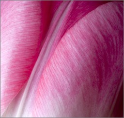 Couleurs