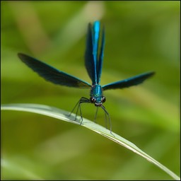  DSC0766