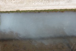_DSC3313