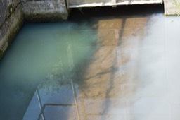 _DSC3315
