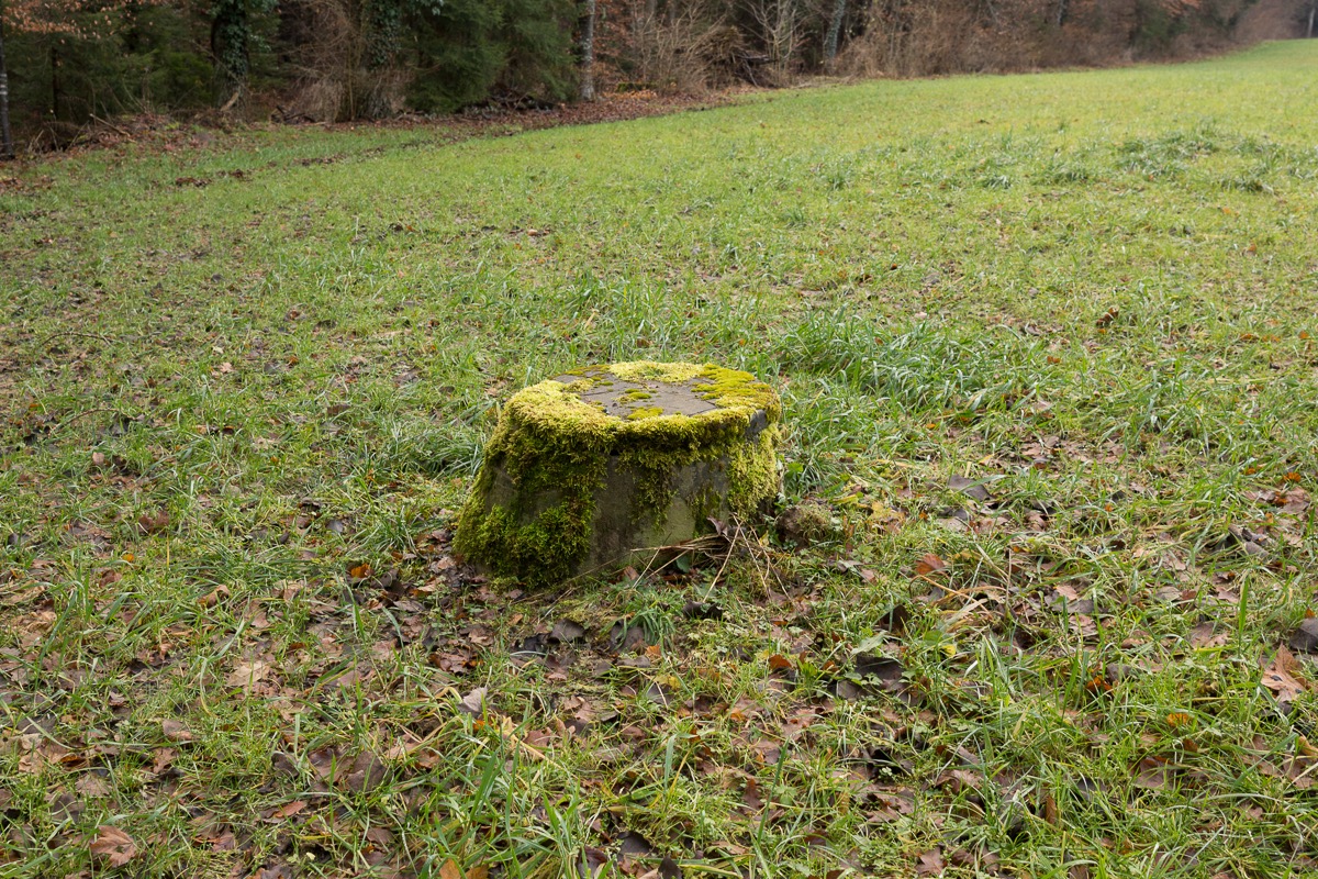 _DSC3713