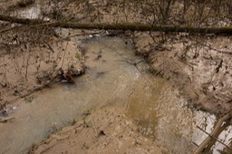 _DSC3717