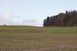 _DSC3727