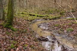 _DSC3732
