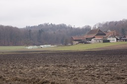 _DSC3824
