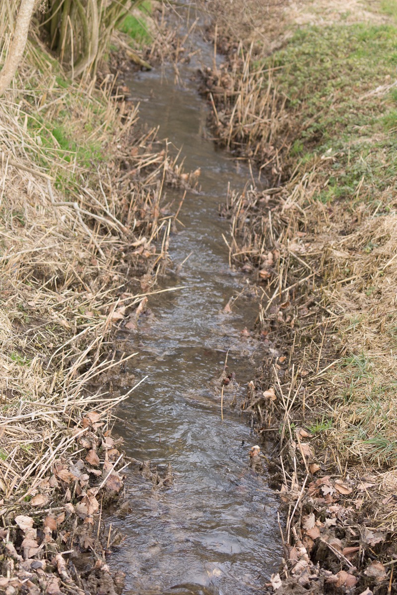 _DSC3845