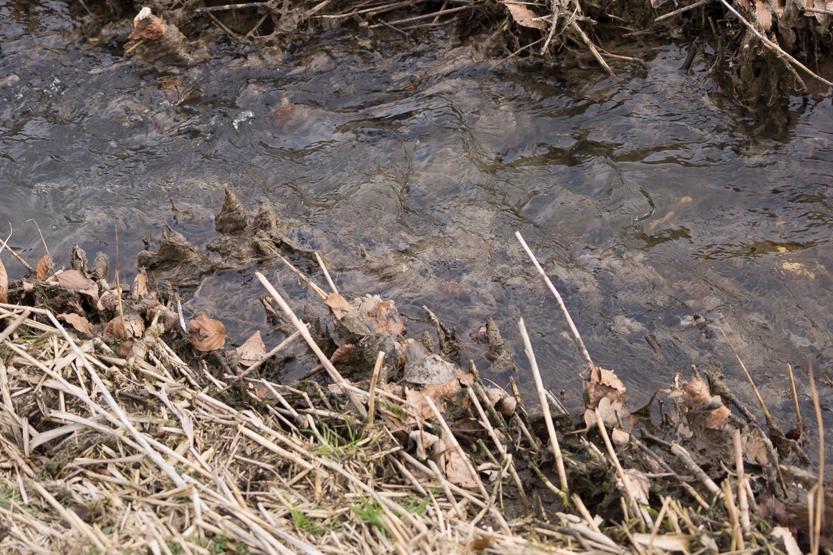 _DSC3846