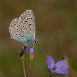  DSC8358