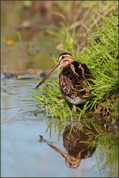 Un petit miroir…