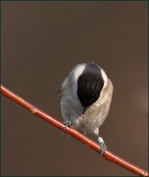 Je suis bien propre pour les photos?