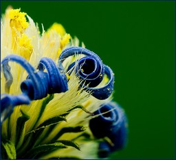 Abstraction
