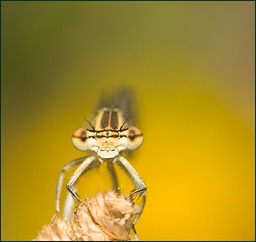 Un autre regard